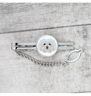 Bichon Bolognese, Bolo, Botoli, Bottolo - geometric tie clip with a picture and inscription from Art-Dog