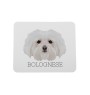 Bichon bolonais, Bolognese - tapis de souris géométrique avec photo et inscription Art-Dog