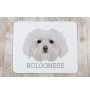 Bichon bolonais, Bolognese - tapis de souris géométrique avec photo et inscription Art-Dog