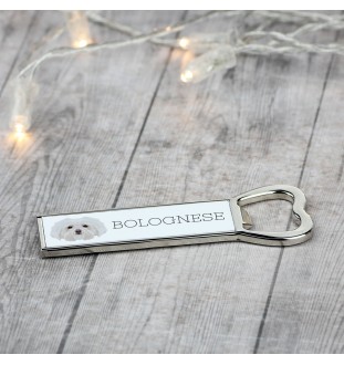 Bichon Bolognese, Bolo, Botoli, Bottolo - bottle opener with a picture and inscription for beer by Art-Dog