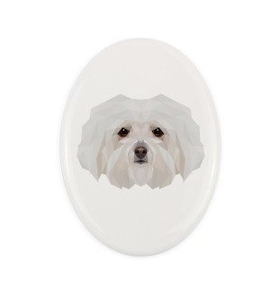 Bichon bolonais, Bolognese - une plaque avec une photo et un motif géométrique de la marque Art-Dog
