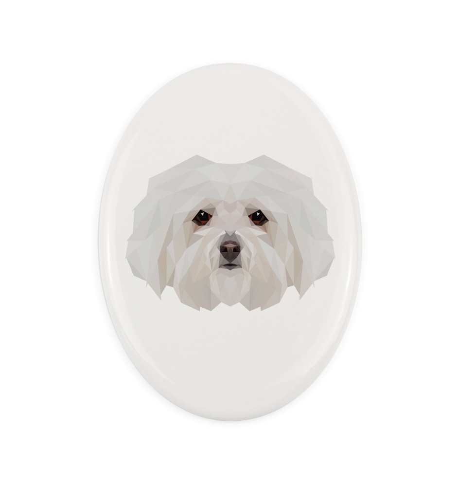 Bichon Bolognese, Bolo, Botoli, Bottolo - a plate with a geometric design and the brand name Art-Dog