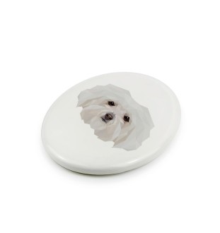Bichon bolonais, Bolognese - une plaque avec une photo et un motif géométrique de la marque Art-Dog