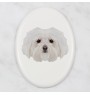 Bichon Bolognese, Bolo, Botoli, Bottolo - a plate with a geometric design and the brand name Art-Dog