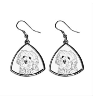 Bichon bolonais, Bolognese - boucles d'oreilles avec chien, boucles d'oreilles pendantes avec photo, bijoux personnalisés avec impression de la marque Art-Dog