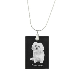 Bologneser, Bichon Bolognese - Kristallanhänger mit Hund, Silberhalskette mit Foto, personalisierter Anhänger der Marke Art-Dog