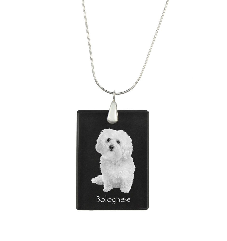 Bichon Bolognese, Bolo, Botoli, Bottolo - Crystal pendant with dog, silver necklace with photo, personalised pendant by Art-Dog brand