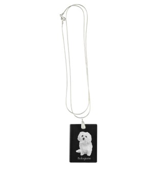 Bichon Bolognese, Bolo, Botoli, Bottolo - Crystal pendant with dog, silver necklace with photo, personalised pendant by Art-Dog brand
