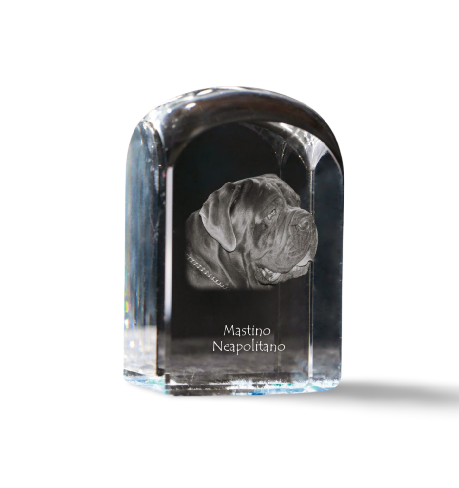 Neapolitan Mastiff, Mastino Napoletano - crystal cube with a photo, photo of a dog in crystal, cubic paperweight from Art-Dog brand