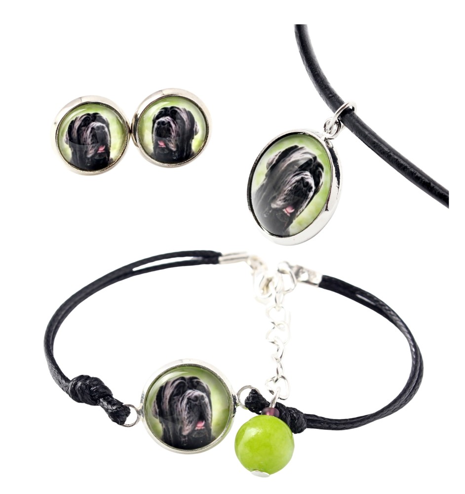Neapolitan Mastiff, Mastino Napoletano - a set of jewelry in a box, necklace, earrings, bracelet, products from the Art-Dog brand