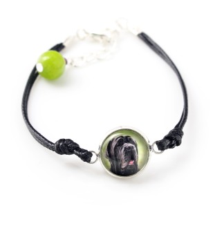 Neapolitan Mastiff, Mastino Napoletano - a set of jewelry in a box, necklace, earrings, bracelet, products from the Art-Dog brand