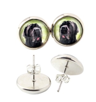 Mâtin napolitain, Mâtin de Naples, Napolitain - boucles d'oreilles dans une boîte, votre photo, bijoux faits à la main, produit de la marque Art-Dog.