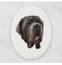 Neapolitan Mastiff, Mastino Napoletano - a plate with a geometric design and the brand name Art-Dog