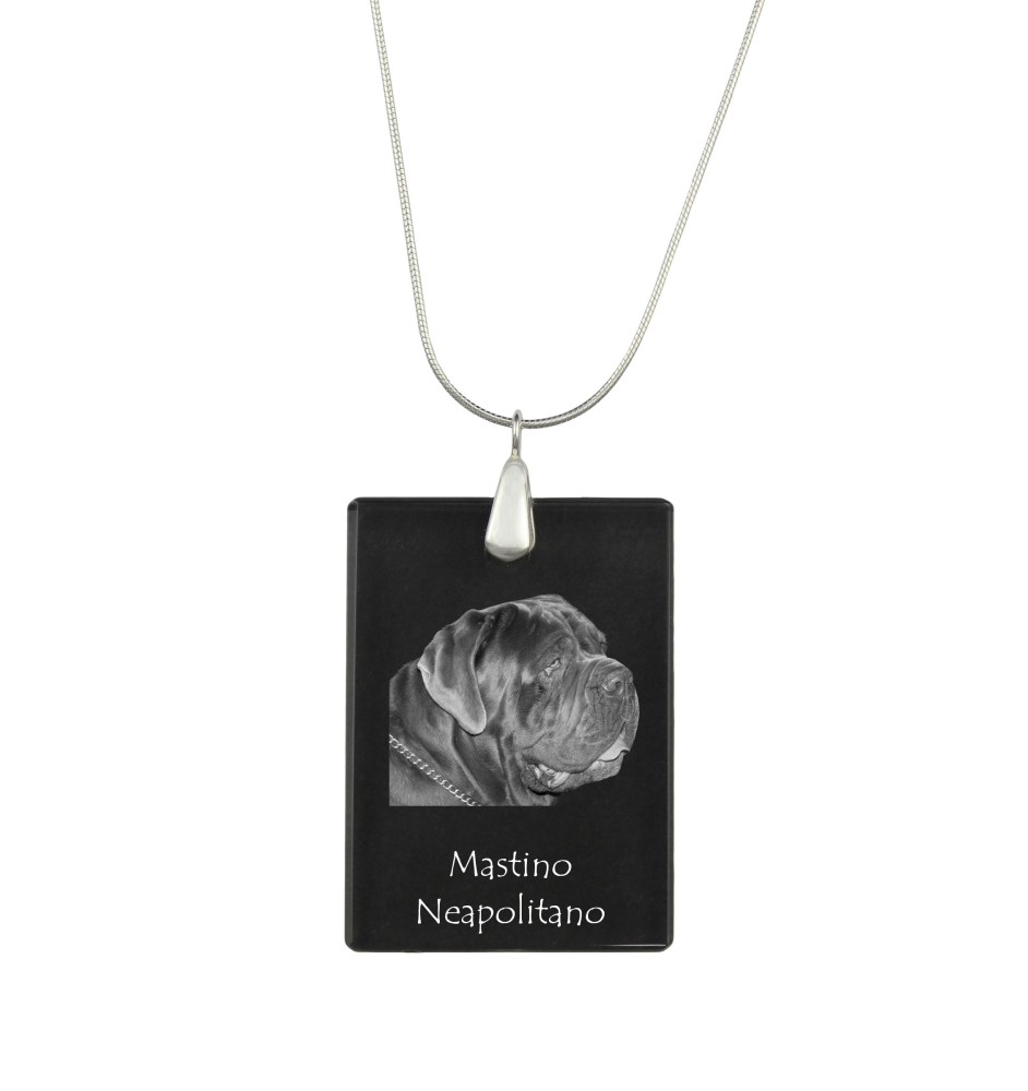 Mâtin napolitain, Mâtin de Naples, Napolitain - Pendentif en cristal avec chien, collier en argent avec photo, pendentif personnalisé par la marque Art-Dog