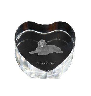 Newfoundland, Newfs, Newfies - a photo of a dog in crystal, crystal heart, unique photo frame from the Art-Dog brand