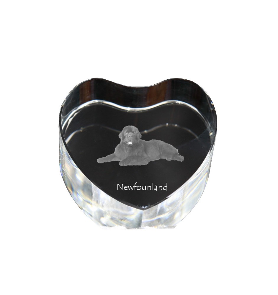 Newfoundland, Newfs, Newfies - a photo of a dog in crystal, crystal heart, unique photo frame from the Art-Dog brand