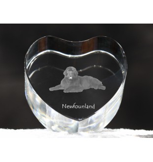 Newfoundland, Newfs, Newfies - a photo of a dog in crystal, crystal heart, unique photo frame from the Art-Dog brand