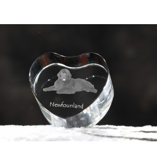 Newfoundland, Newfs, Newfies - a photo of a dog in crystal, crystal heart, unique photo frame from the Art-Dog brand