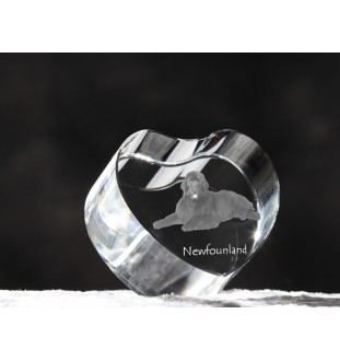 Newfoundland, Newfs, Newfies - a photo of a dog in crystal, crystal heart, unique photo frame from the Art-Dog brand