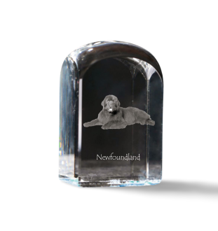 Neufundländer, Newfoundland - Kristallwürfel mit Bild, Hundebild im Kristall, sechseckiger Papierclip von Art-Dog.