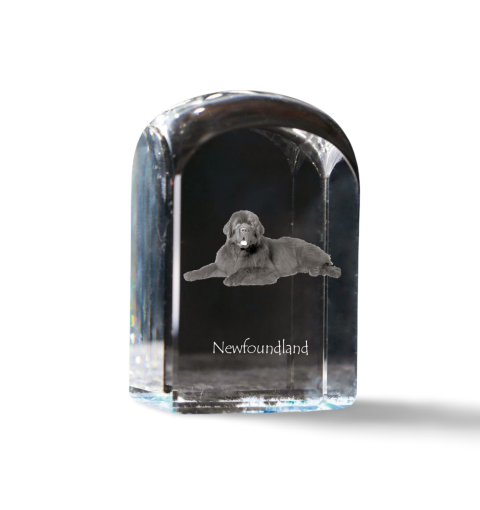 Neufundländer, Newfoundland - Kristallwürfel mit Bild, Hundebild im Kristall, sechseckiger Papierclip von Art-Dog.
