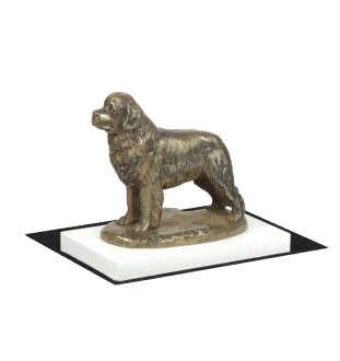 Neufundländer, Newfoundland - Hundestatue, Figur auf weißem Sockel, Trophäe für die Art-Dog-Hundeaustellung.