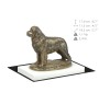 Neufundländer, Newfoundland - Hundestatue, Figur auf weißem Sockel, Trophäe für die Art-Dog-Hundeaustellung.