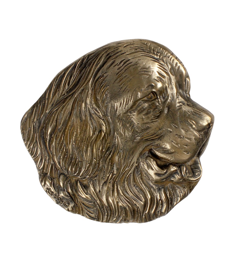 Chien de Terre-neuve, retriever de Terre-Neuve - plaque commémorative avec chien, remerciement personnalisé, récompense, diplôme avec dédicace de la marque Art-Dog