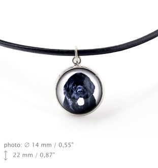 Chien de Terre-neuve, retriever de Terre-Neuve - ensemble de bijoux dans une boîte, collier, boucles d'oreilles, bracelet, produits de la marque Art-Dog