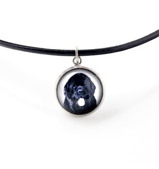 Chien de Terre-neuve, retriever de Terre-Neuve - ensemble de bijoux dans une boîte, collier, boucles d'oreilles, bracelet, produits de la marque Art-Dog