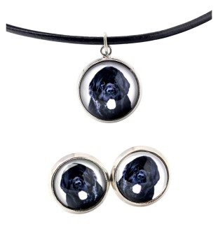 Chien de Terre-neuve, retriever de Terre-Neuve - boîte à bijoux avec votre photo, ensemble collier et boucles d'oreilles, produits personnalisés de la marque Art-Dog