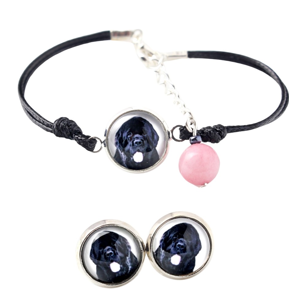 Chien de Terre-neuve, retriever de Terre-Neuve - ensemble de bijoux avec votre photo, accessoire féminin, article fait main, produit fabriqué à la main avec passion pour la création de la marque Art-D