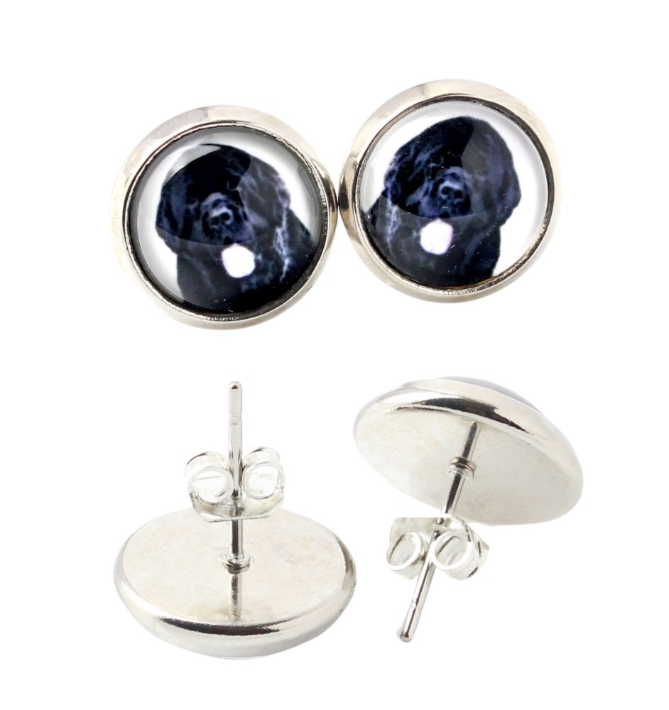 Neufundländer, Newfoundland - Ohrringe in einer Schachtel, Ihr Foto, handgefertigter Schmuck, Eigenmarke von Art-Dog.