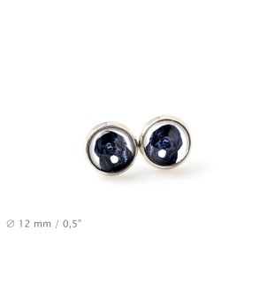Newfoundland, Newfs, Newfies - earrings in a box, your photo, handmade jewelry, a product of the Art-Dog brand