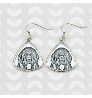 Newfoundland, Newfs, Newfies - dog earrings, hanging earrings with a picture, personalized jewelry with Art-Dog brand print