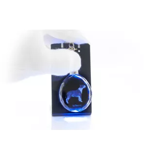 Bull Terrier - pendentif avec une photo de chien, porte-clés en cristal dans une boîte cadeau, un cadeau unique par Art-Dog