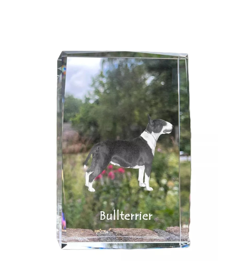 Bull Terrier, Bullterrier - Kristall mit einem Hundebild, Bild im Glas, moderne Ausstellung des Art-Dog-Bildes.