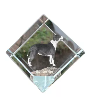 Bull Terrier, Bully - crystal cube with a photo, photo of a horse in crystal, cubic paperweight from Art-Dog brand