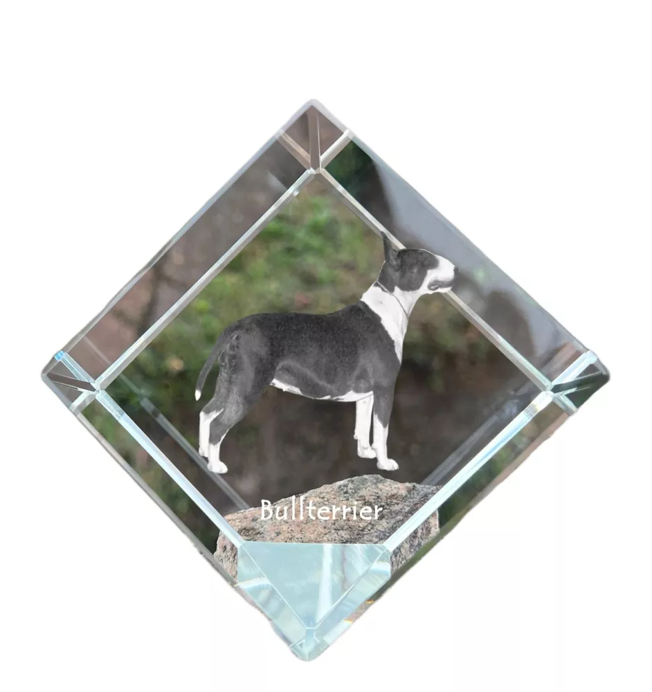 Bull Terrier, Bully - crystal cube with a photo, photo of a horse in crystal, cubic paperweight from Art-Dog brand