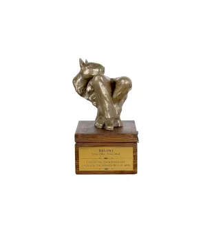Bull Terrier, Bully I - urn for dog ashes with a statuette, small urn for a dog, personalized urn with a bust of a dog by Art-Dog brand