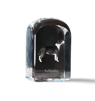 Bull Terrier, Bully - crystal cube with a photo, photo of a dog in crystal, cubic paperweight from Art-Dog brand