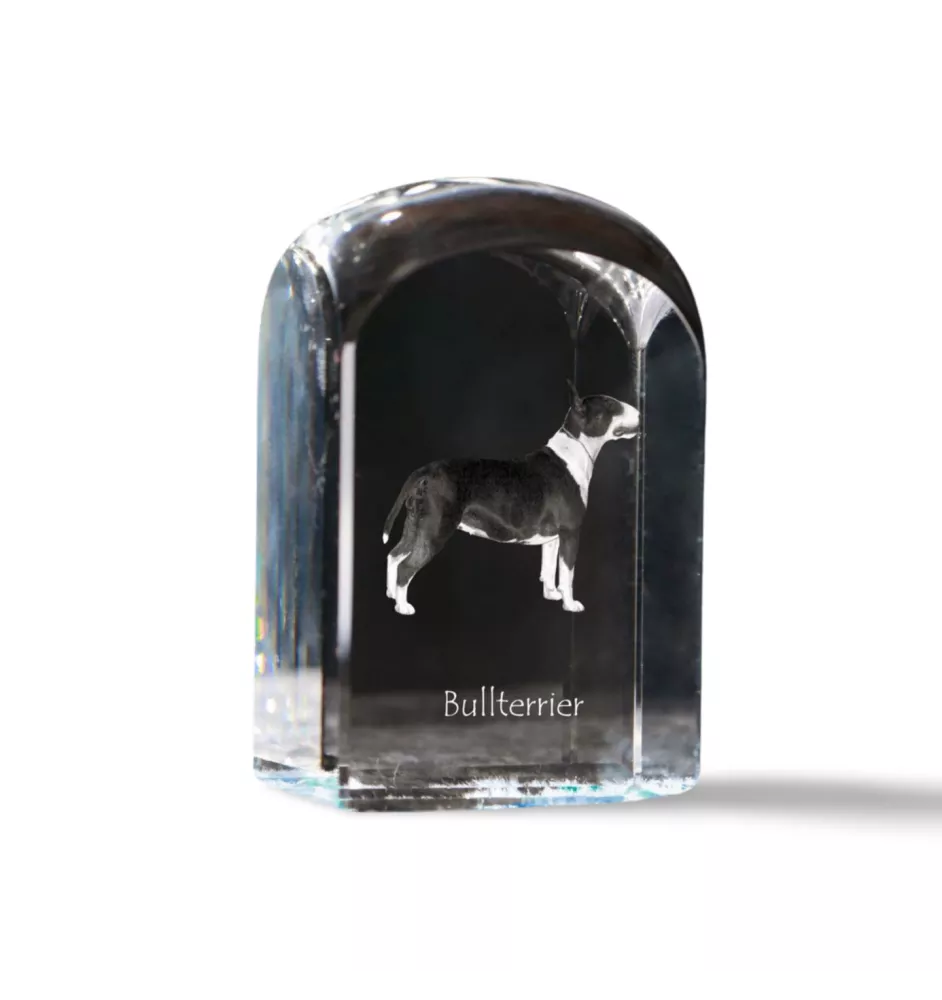 Bull Terrier - un cube de cristal avec une photo, une photo de chien dans le cristal, un presse-papiers cubique de la marque Art-Dog