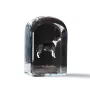 Bull Terrier - un cube de cristal avec une photo, une photo de chien dans le cristal, un presse-papiers cubique de la marque Art-Dog