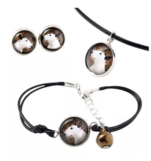 Bull Terrier, Bully - a set of jewelry in a box, necklace, earrings, bracelet, products from the Art-Dog brand