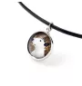 Bull Terrier, Bully - a set of jewelry in a box, necklace, earrings, bracelet, products from the Art-Dog brand