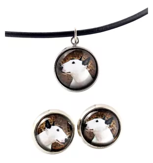 Bull Terrier, Bullterrier - Schmuck mit Ihrem Foto-Box, Halskette und Ohrringe-Set, personalisierte Produkte der Marke Art-Dog.