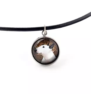 Bull Terrier, Bully - jewelry with your photo box, set of necklace and earrings, personalized products from the Art-Dog brand