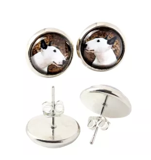 Bull Terrier, Bully - earrings in a box, your photo, handmade jewelry, a product of the Art-Dog brand