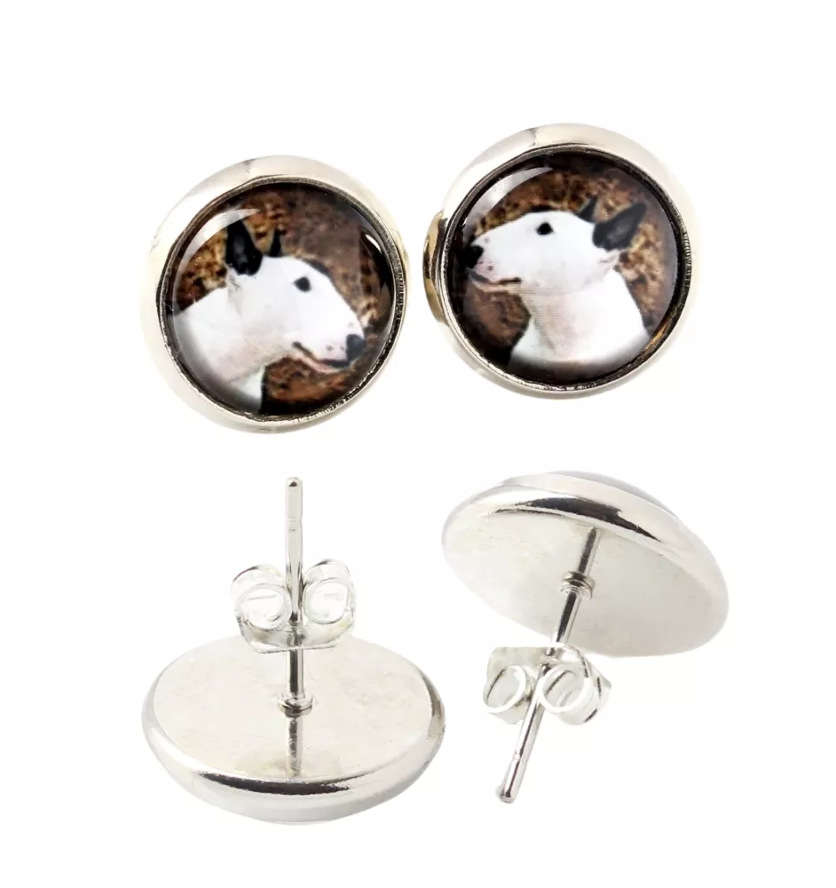Bull Terrier, Bullterrier - Ohrringe in einer Schachtel, Ihr Foto, handgefertigter Schmuck, Eigenmarke von Art-Dog.