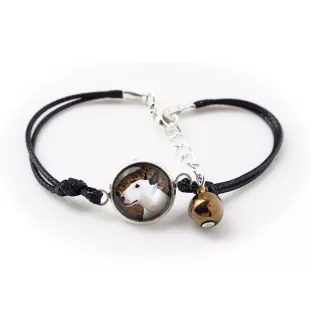 Bull Terrier - bracelet dans une boîte avec votre photo, bijoux féminins, cadeau parfait de la marque Art-Dog
